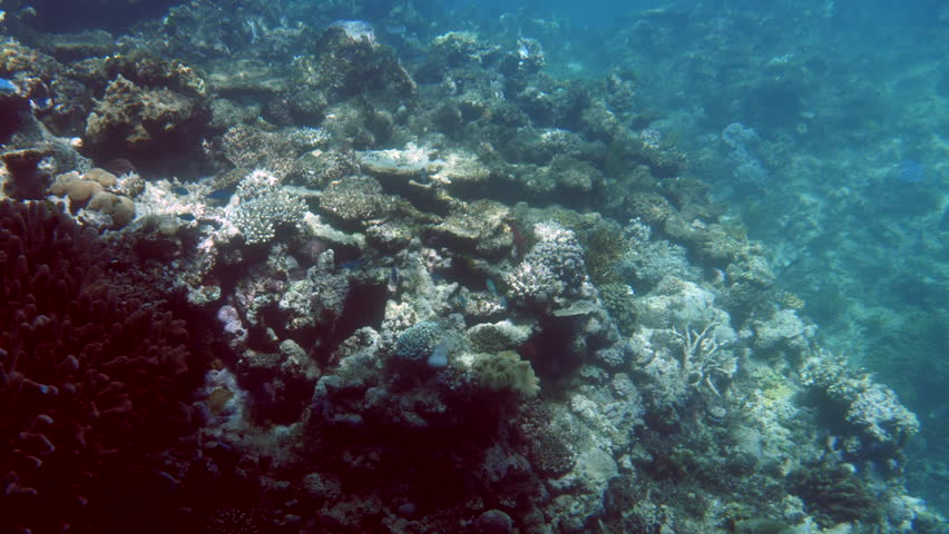 Water and ocean of the Great Barrier Reef in Queensland, Australia ...