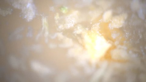 Bio ultra macro kinetic background for web page. Organic vegetable background with a big zoom