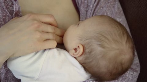 Little 3d Toddler Dog Porn - Mother is breastfeeding her infant, close-up view of baby head