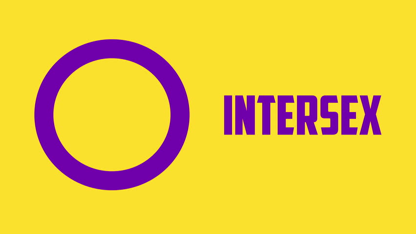 Image result for intersex flag