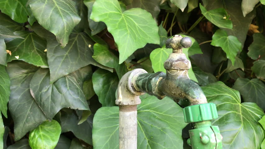Leaky Hose Leaky Faucet Person Stock Footage Video 100