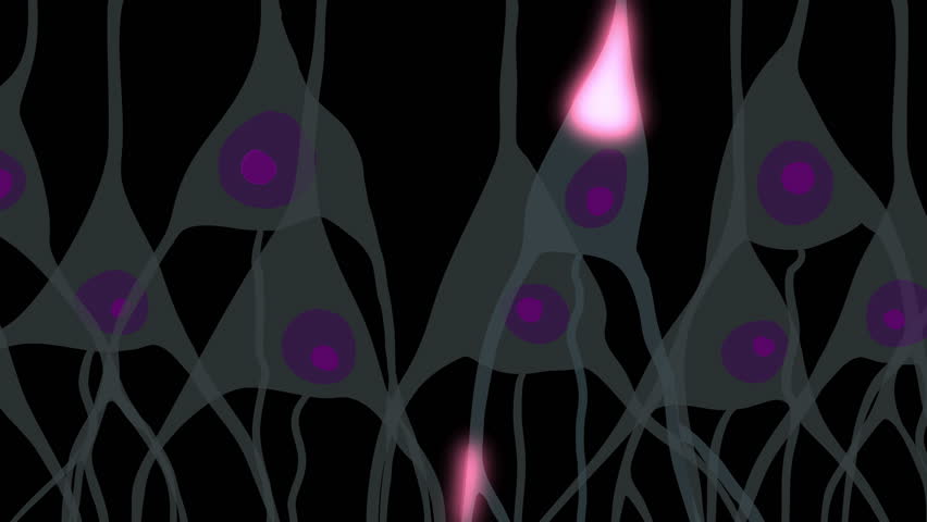 Header of excitatory