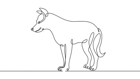 Self Drawing Simple Animation Of Single Continuous One Line Drawing Animal Wolf Predator Nature Wild Wildlife Dog Drawing By Hand Black Lines On A White Background