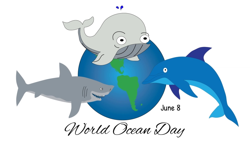 アニメ画像について 最新のhdジンベエザメ イラスト