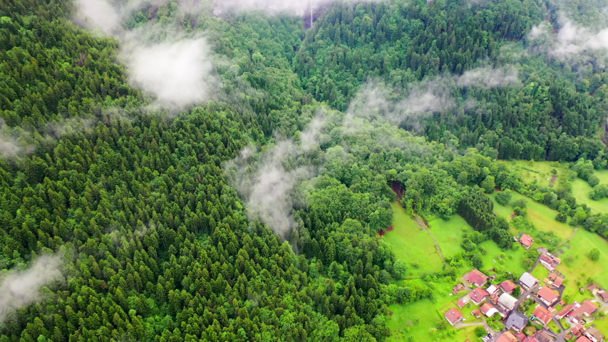 Fog over the tree and forest in France image - Free stock photo ...