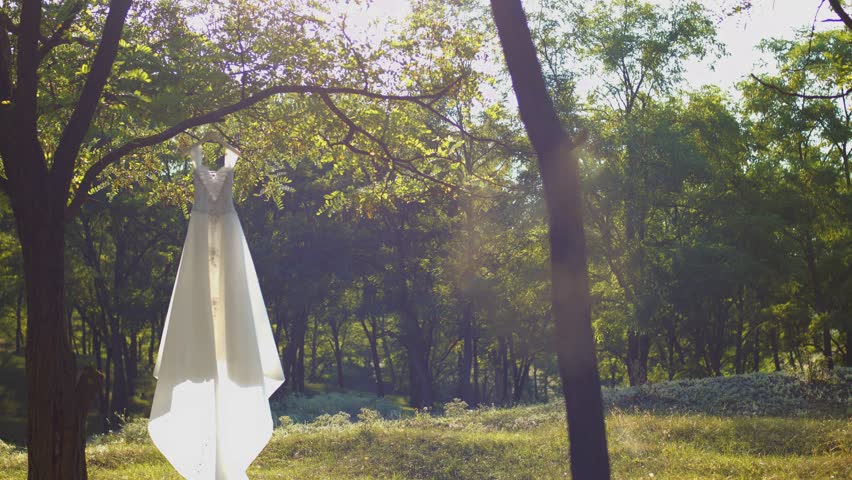 Wedding Dress Is Hanging On A Tree Spider Web