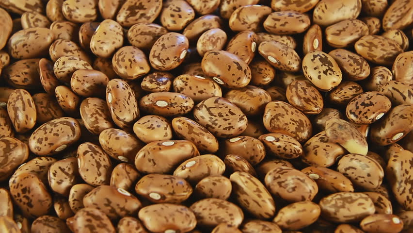 Kidney Beans Stock Footage Video | Shutterstock