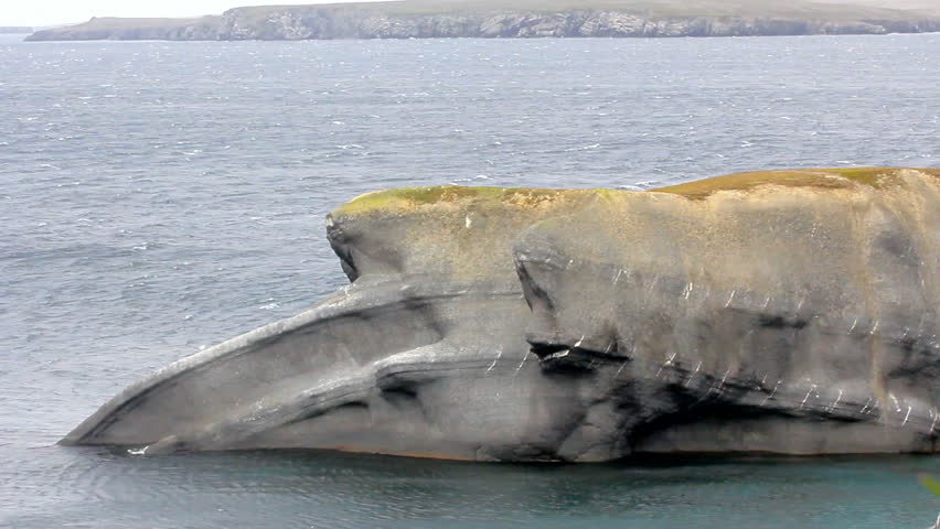 Header of zoolatry