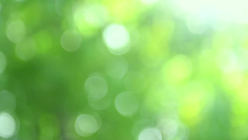 Nature Blurred Green Background Beautiful Stock Footage Video 100 Royalty Free 12063068 Shutterstock