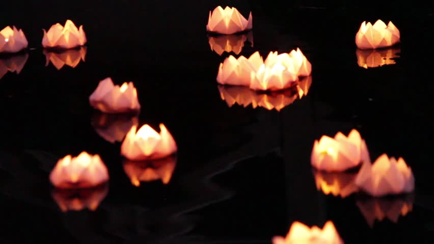 how to make floating lotus lanterns