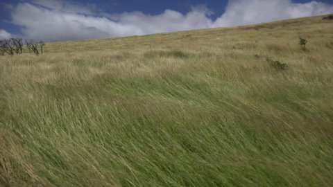 Swish Stock Video Footage - 4K and HD Video Clips ...