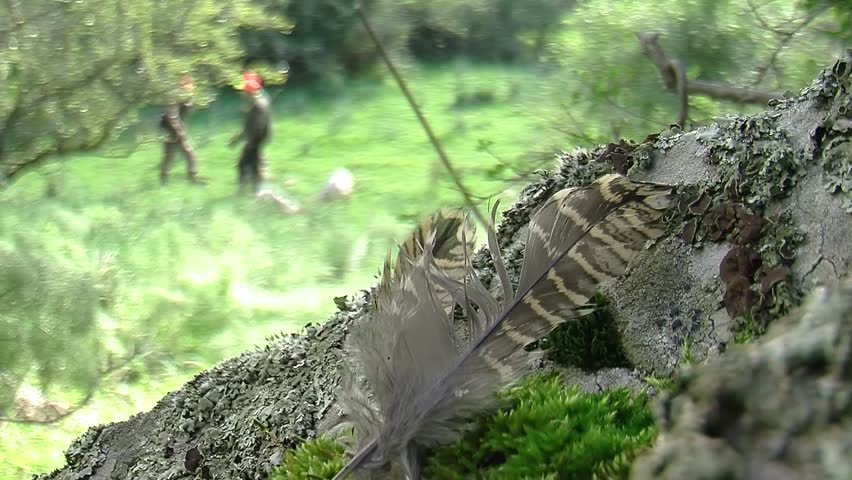 Header of woodcock