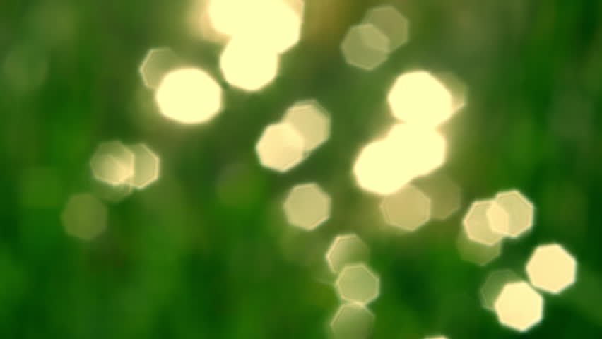 Header of placatory