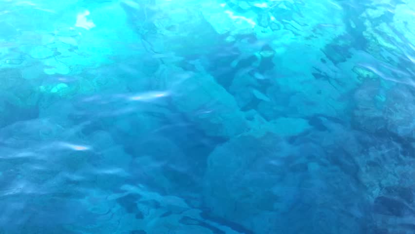 Clear Pool Water Wallpaper clear blue water animated wallpaper, swimming pool windy surface Clear Pool Water Wallpaper clear blue water animated wallpaper, swimming pool windy surface