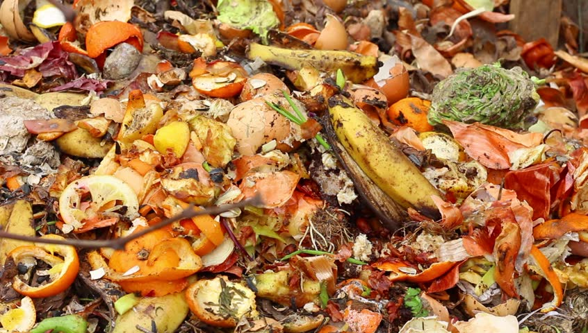 Food waste Image result for food waste