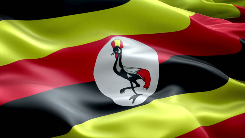 Flag Of Uganda Beautiful 3d Animation Of Uganda Flag In Loop Mode Stock ...