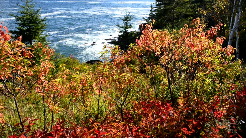 Header of Acadia National Park