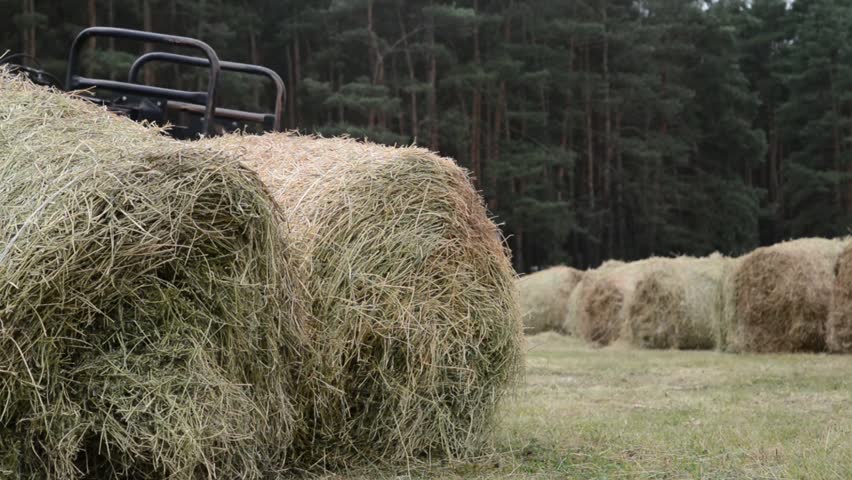 Header of haycock