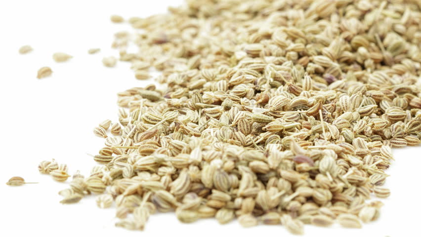 Header of lovage