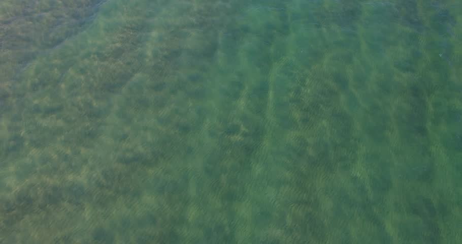 Calm Water Texture surface of river, calm water. view on a calm surface of green Calm Water Texture surface of river, calm water. view on a calm surface of green