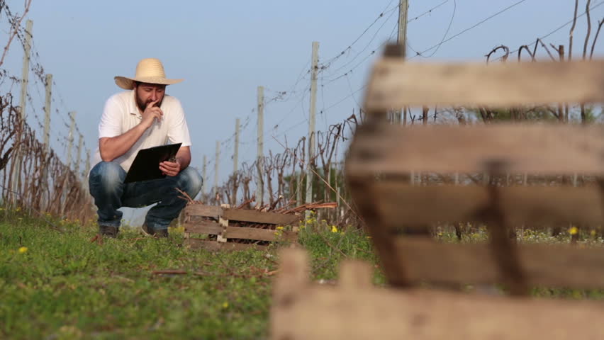 Header of vintner