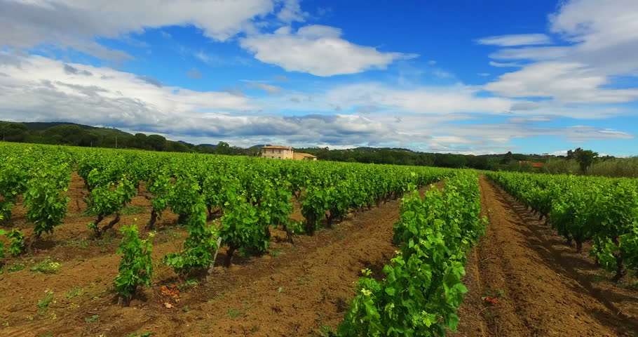 St Tropez Stock Footage Video | Shutterstock