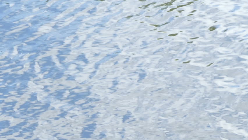 Ungraded: Water Ripple / Polluted Water / Polluted River. Ripples On ...