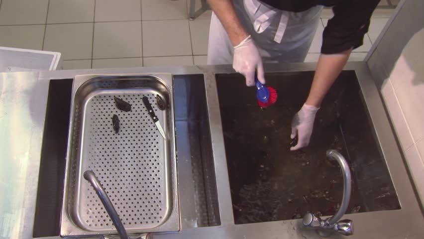 Restaurant Kitchen Gloves cook in gloves scrubbing raw mussels in sinkknife. colander Restaurant Kitchen Gloves cook in gloves scrubbing raw mussels in sinkknife. colander