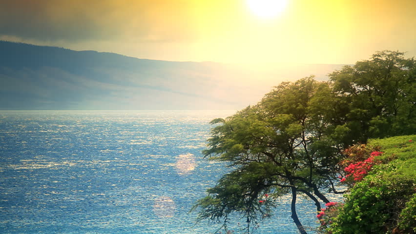 Header of lanai