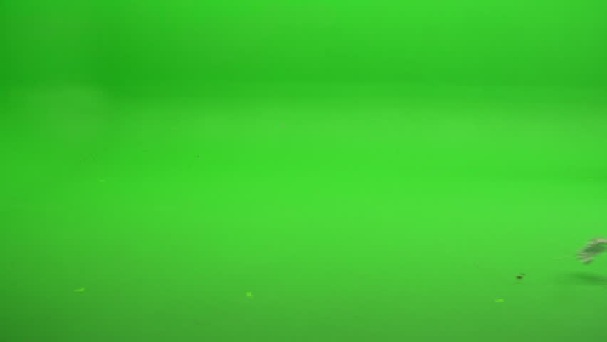 Green Screen Shot. Foreground Element Of Trash, Leaves, A Plastic Bag ...