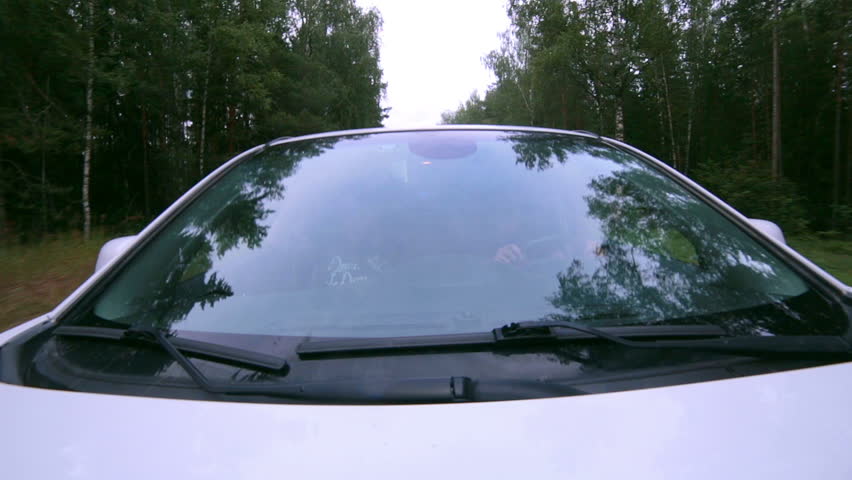 Trees Reflected In Car Window. Windshield Reflection. Car Driving On A ...