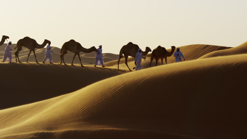 Middle Eastern Male Camel Owners In Desert Convoy Arabia Stock Footage ...