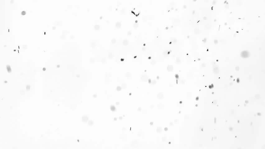 10+ Design Black And White Minimalist Background PNG