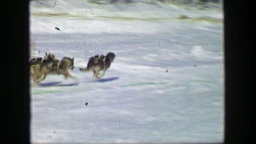 Header of Iditarod