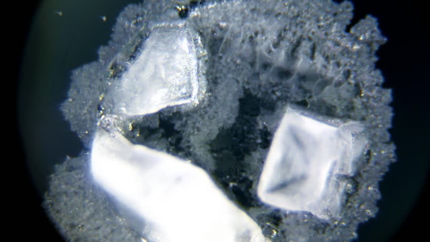 Crystals Forming Under a Microscope Stock Footage Video ...