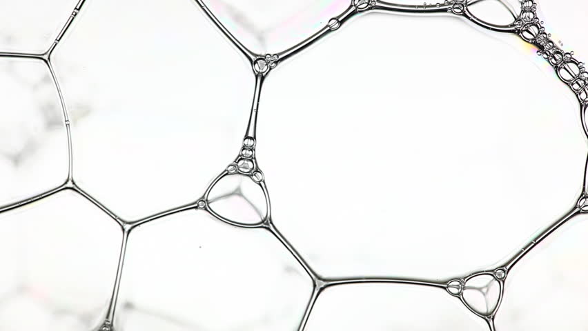 Header of soapsuds