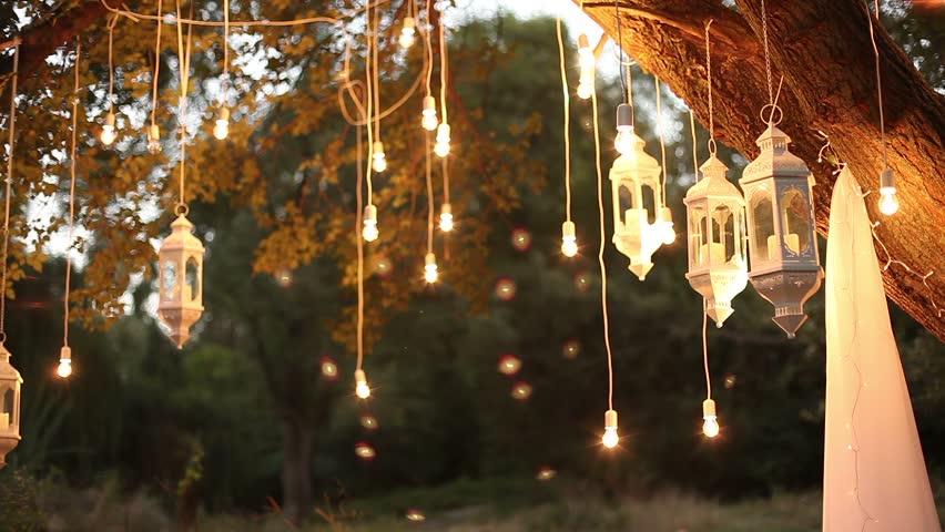 Light Bulbs Outdoor On A Stocks Material 100 Light Bulbs Outdoor On A Stocks