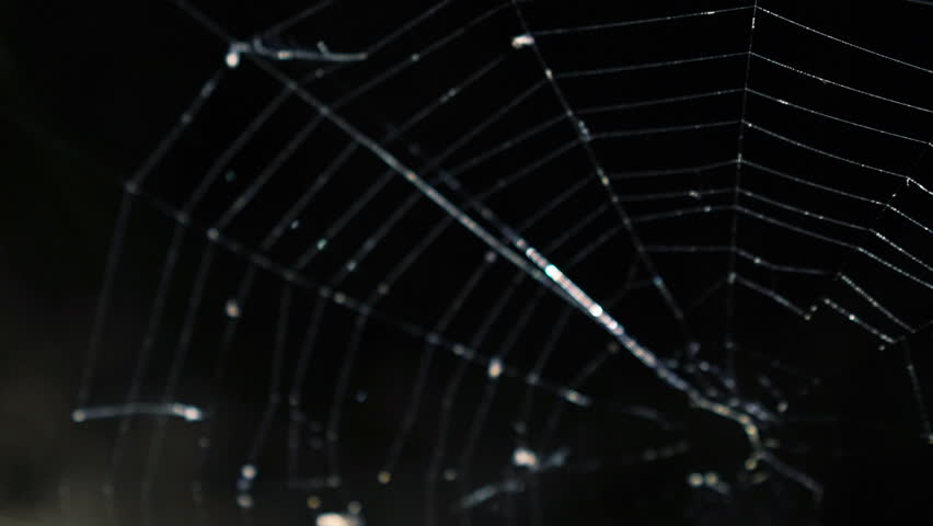 Header of alight