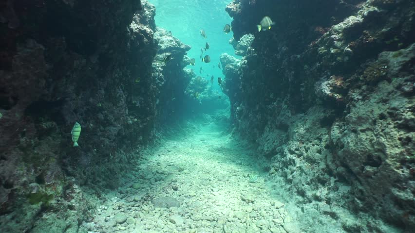 Stock Video Clip of Underwater scene, moving into a natural trench ...