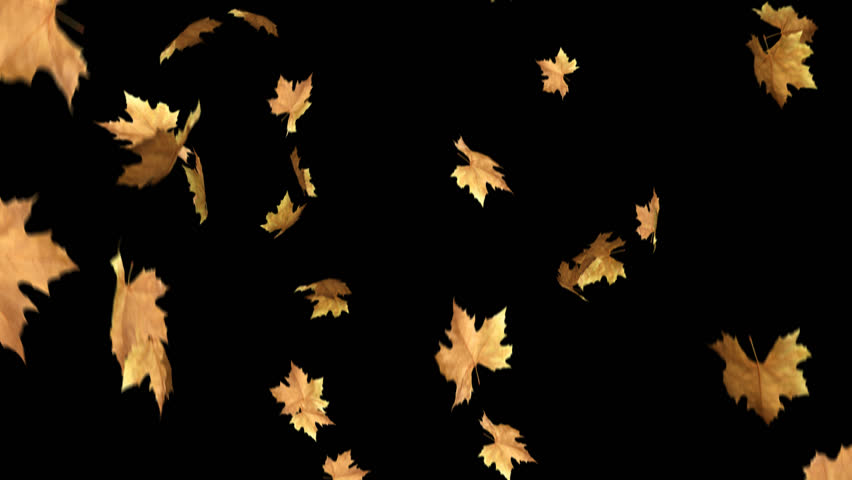 Blowing Leaves - Looped And Masked 3d Animation Stock Footage Video