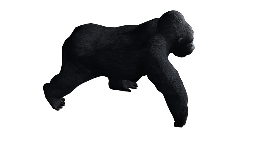 Header of anthropomorphism