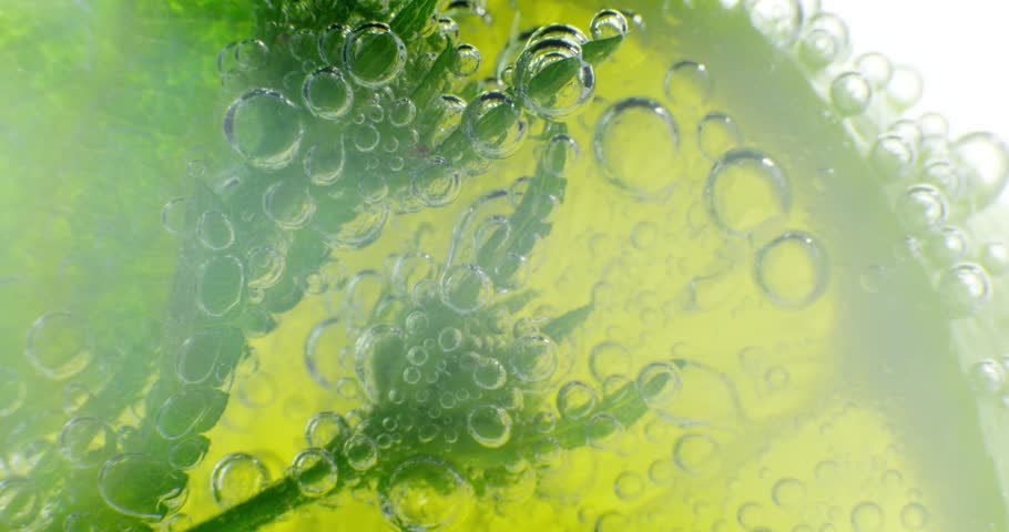 Live In A Drop From Pond (green Cells) Under Microscope, Magnification ...