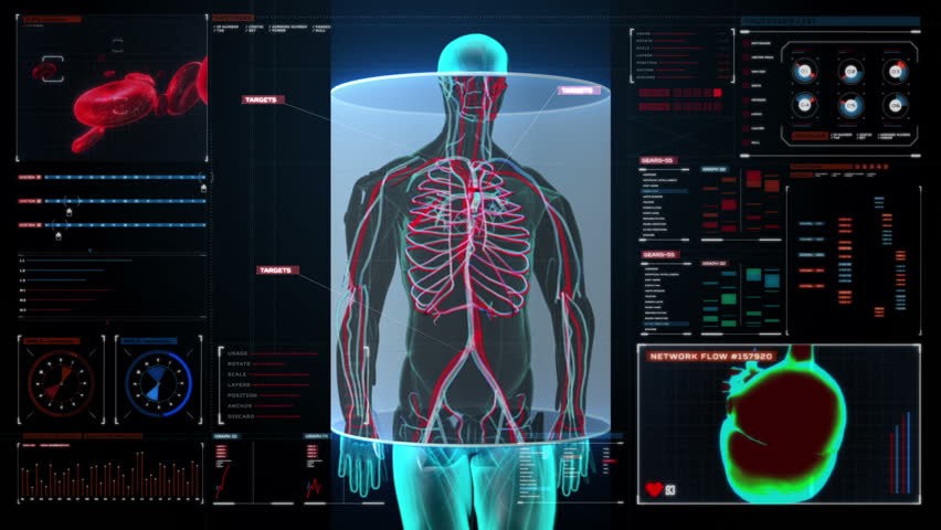 Full Body Human Skeletal System Anatomy Walks With Futuristic