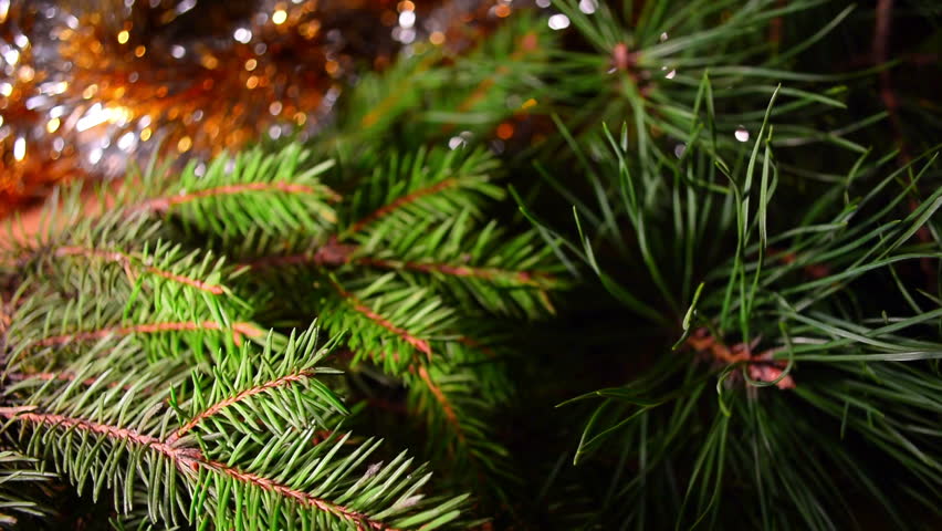 Header of frippery