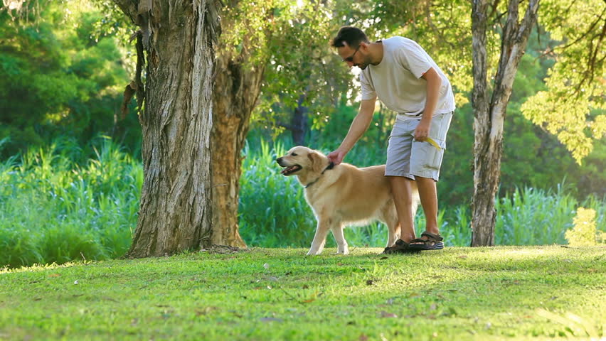 Image result for a pet with his owner