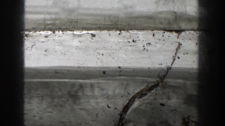 Header of truly