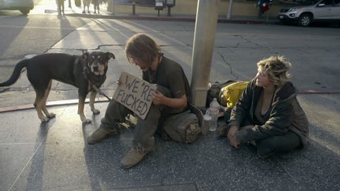Los angeles - oct 19, 2016: man and woman with dog on street with we're  fucked sign homeless couple in los angeles ca. homelessness in la grew by  12 percent between the years 2013 and 2015.