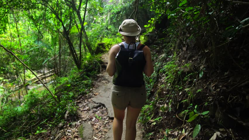 Hikers Walking In Forest Jungle Stock Footage Video 100