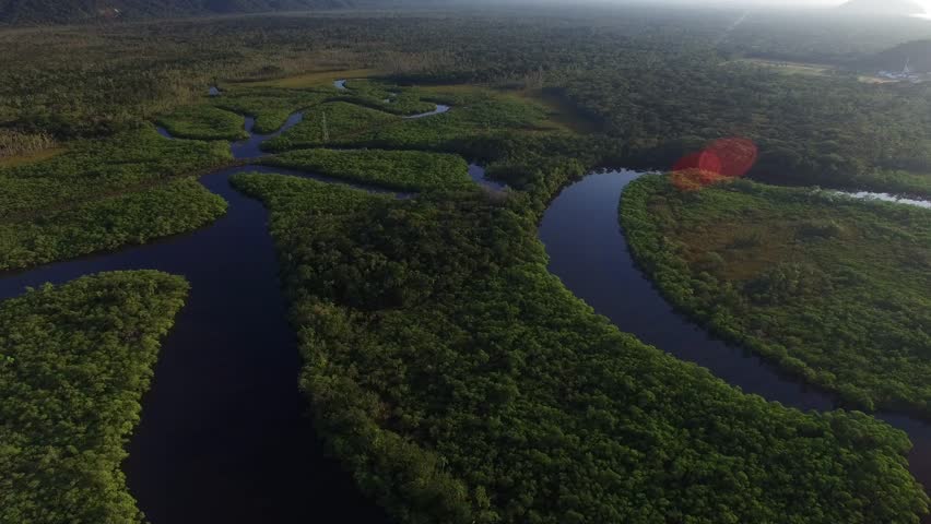 Aerial View of Amazon Rainforest, Stock Footage Video (100% Royalty