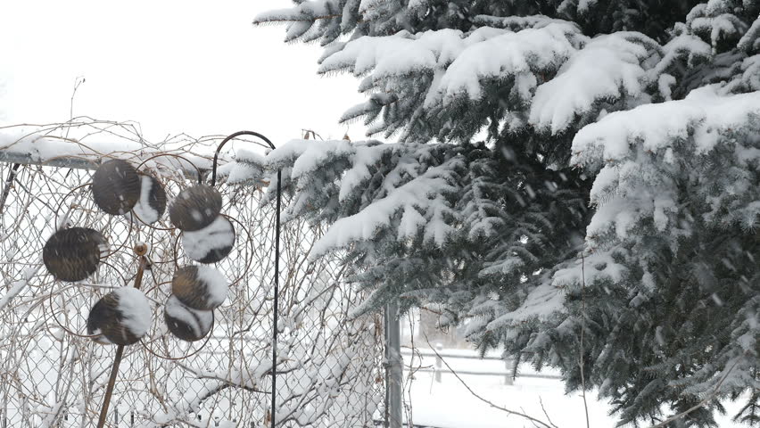 Driven By Winter Wind >> Snow Falling On Wind Driven Spinning Stock Footage Video 100 Driven By Winter Wind >> Snow Falling On Wind Driven Spinning Stock Footage Video 100
